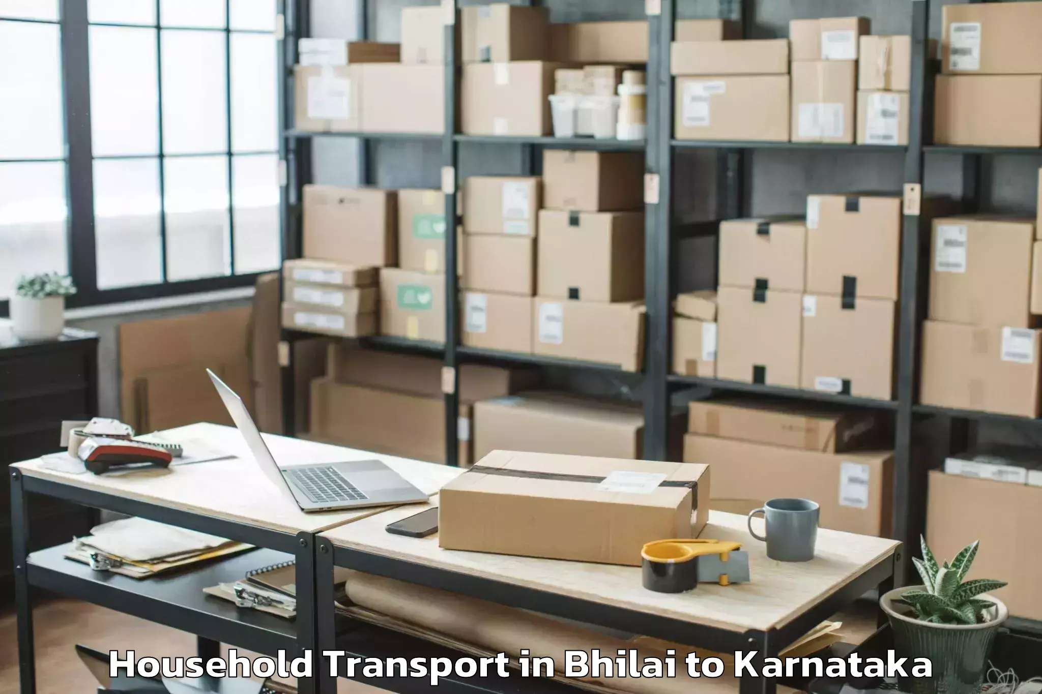 Reliable Bhilai to Harpanahalli Household Transport